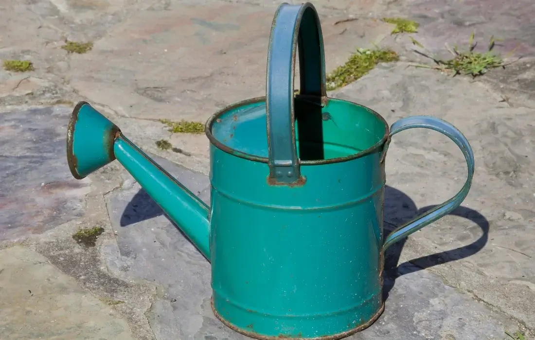 Regador de metal num jardim — com que frequência regar as plantas não se decide por ele, e sim pelo substrato