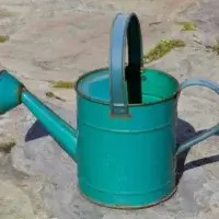 Regador de metal num jardim — com que frequência regar as plantas não se decide por ele, e sim pelo substrato