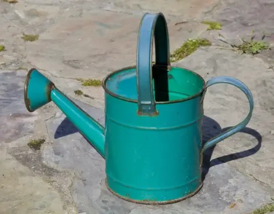 Regador de metal num jardim — com que frequência regar as plantas não se decide por ele, e sim pelo substrato