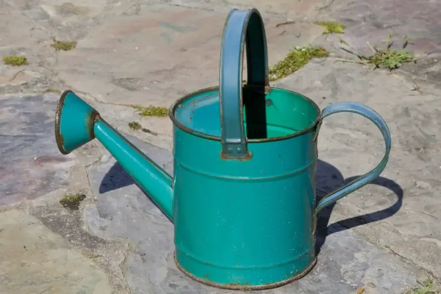 Regador de metal num jardim — com que frequência regar as plantas não se decide por ele, e sim pelo substrato