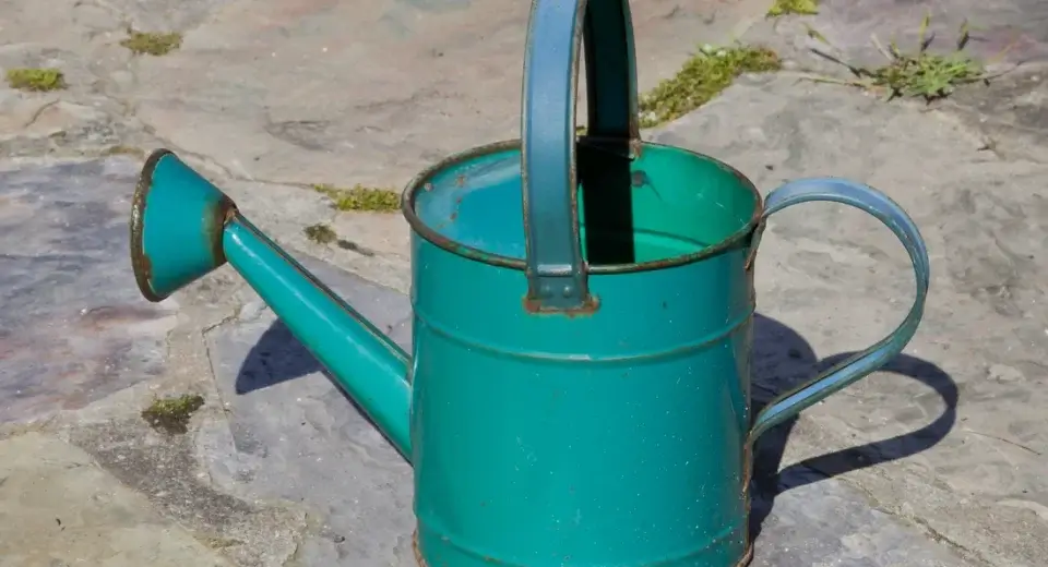 Regador de metal num jardim — com que frequência regar as plantas não se decide por ele, e sim pelo substrato