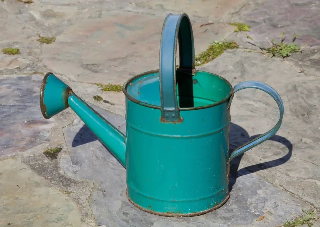 Regador de metal num jardim — com que frequência regar as plantas não se decide por ele, e sim pelo substrato