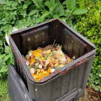 Composteira doméstica aberta com cascas de fruta, casca de ovo e minhocas nas bordas