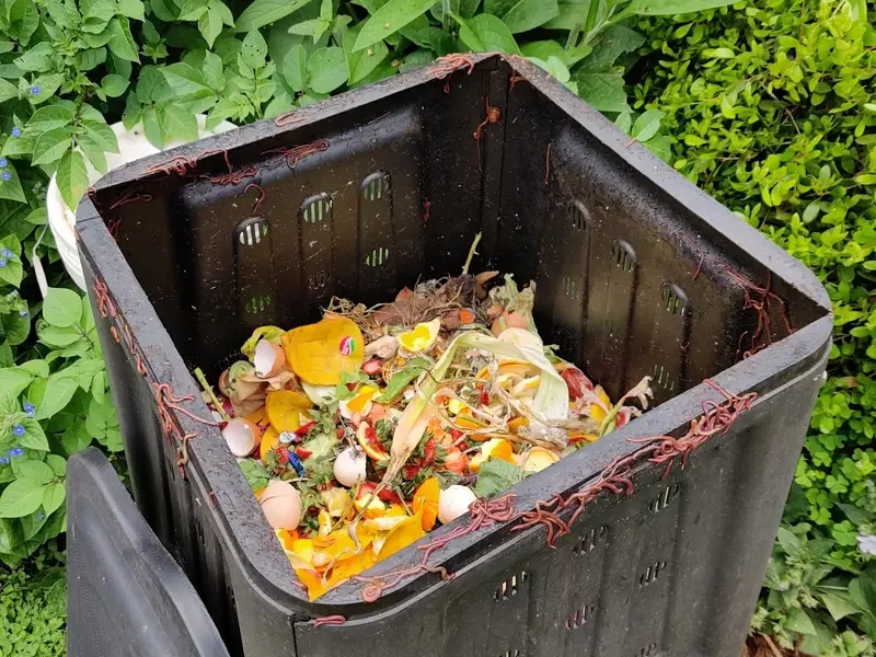 Composteira doméstica aberta com cascas de fruta, casca de ovo e minhocas nas bordas