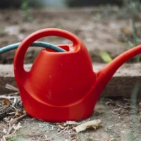 Regador vermelho apoiado sobre terra seca de um canteiro, ao lado de uma mangueira