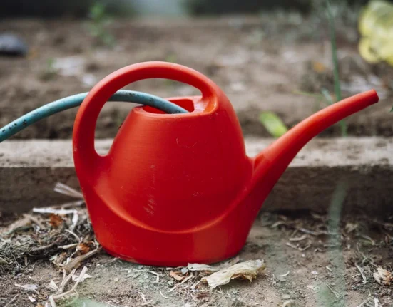 Regador vermelho apoiado sobre terra seca de um canteiro, ao lado de uma mangueira