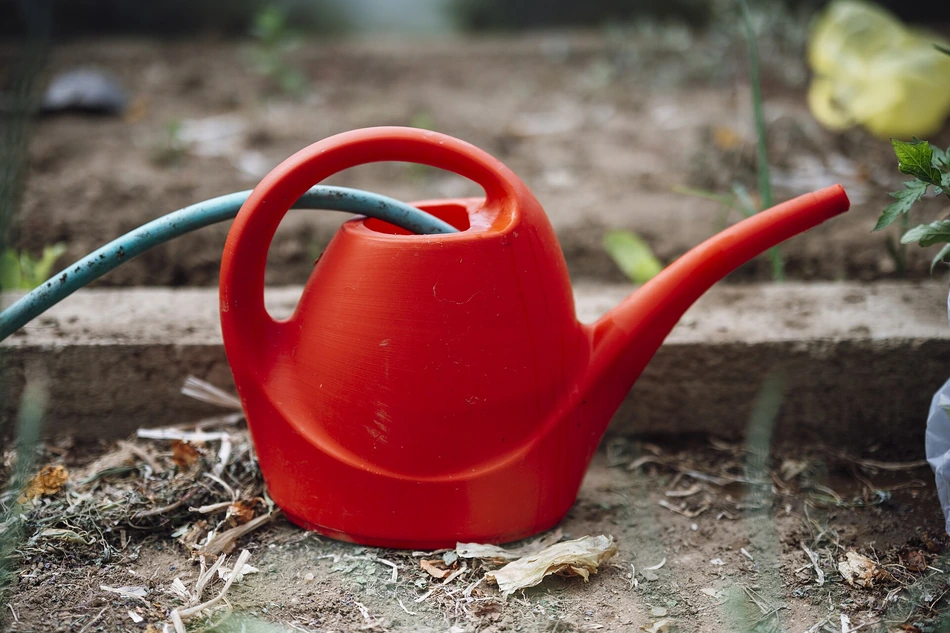 Regador vermelho apoiado sobre terra seca de um canteiro, ao lado de uma mangueira