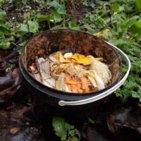 Balde com cascas de banana, cenoura e cebola no jardim, matéria-prima de fertilizante caseiro