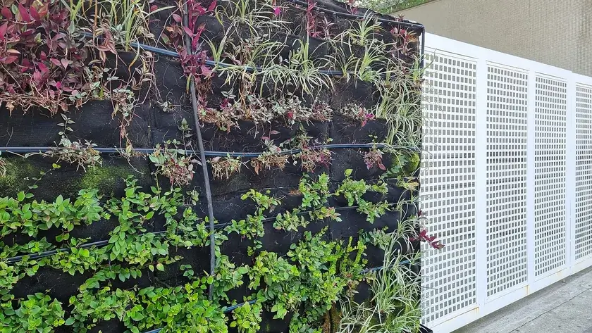 Painel de jardim vertical na Avenida Paulista com tubos de irrigação à vista e falhas de plantas na parte superior