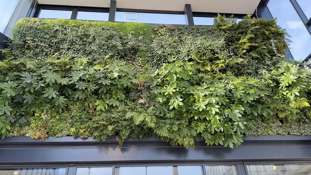 Jardim vertical denso e saudável cobrindo a fachada envidraçada de um edifício