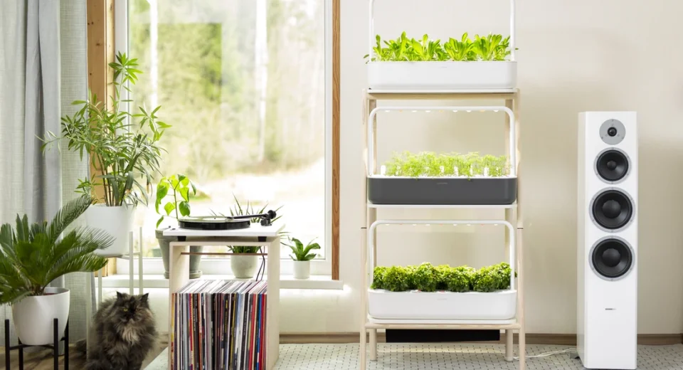 Sala com plantas junto à janela e um cultivador com luz artificial — as duas fontes de luz para plantas de interior