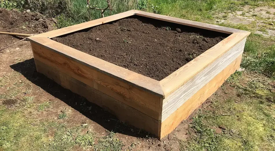 Canteiro elevado de madeira com terra preparada e ainda sem plantio, pronto para a semeadura