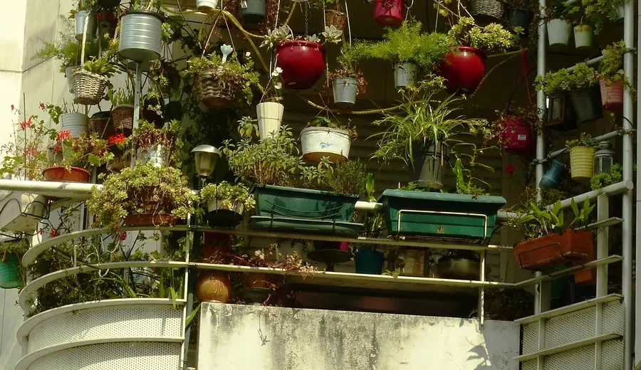 Varanda de apartamento tomada por vasos pendurados, em grades e em jardineiras