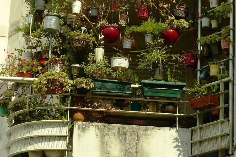 Varanda de apartamento tomada por vasos pendurados, em grades e em jardineiras