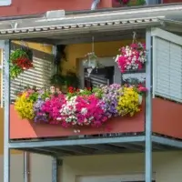 Varanda de apartamento ensolarada com floreira e cestos suspensos repletos de petúnias, calibrachoas e gerânios floridos