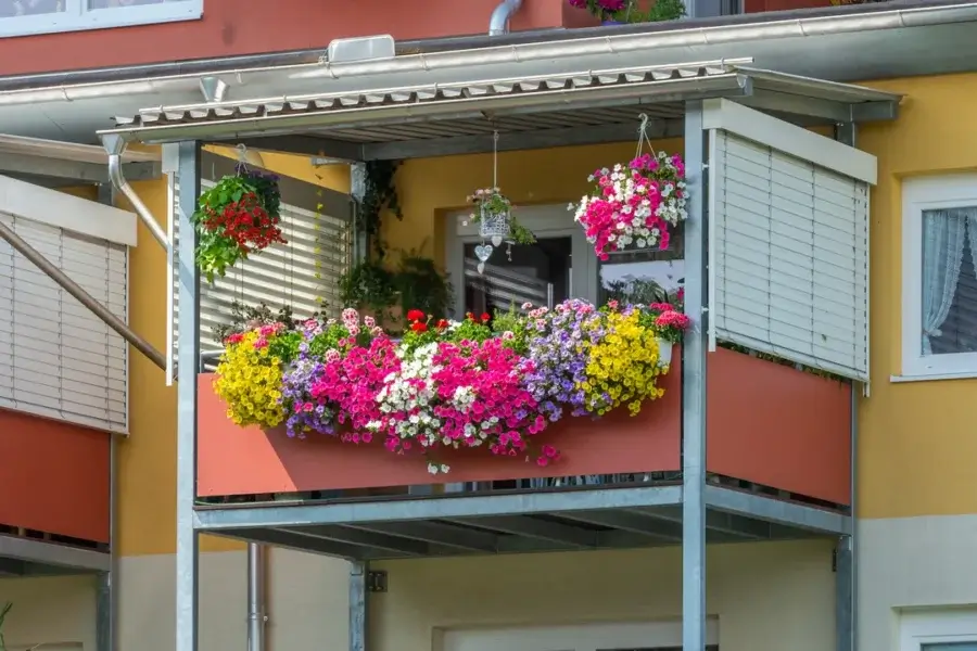 Varanda de apartamento ensolarada com floreira e cestos suspensos repletos de petúnias, calibrachoas e gerânios floridos