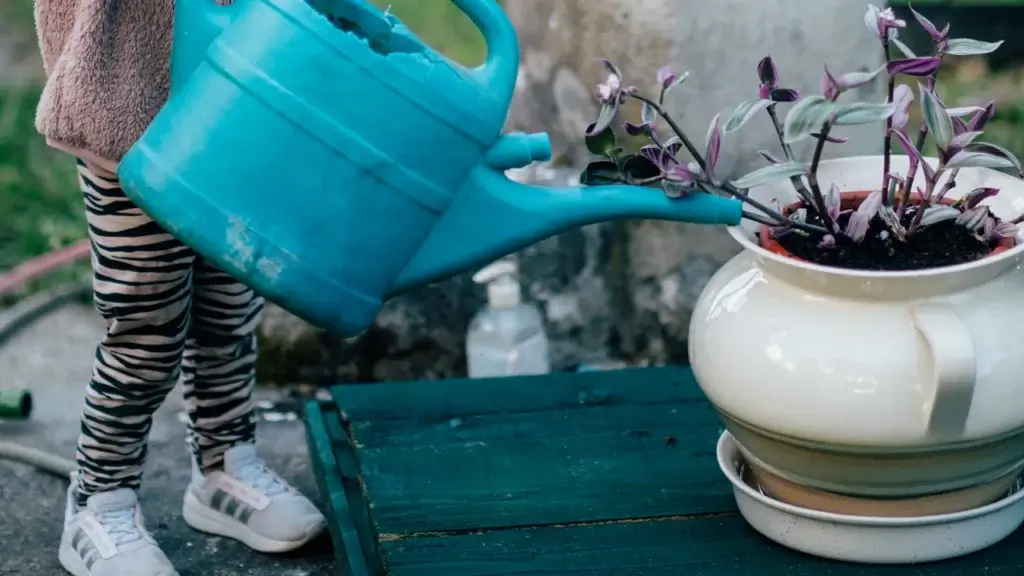 Criança rega um vaso de planta apoiado sobre um prato onde a água se acumula