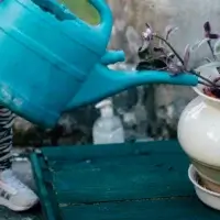 Criança rega um vaso de planta apoiado sobre um prato onde a água se acumula