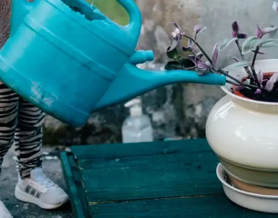 Criança rega um vaso de planta apoiado sobre um prato onde a água se acumula