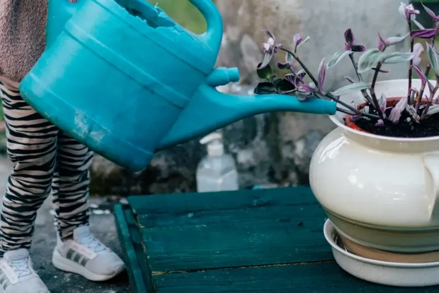 Criança rega um vaso de planta apoiado sobre um prato onde a água se acumula